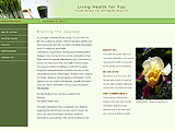 Optimum Health concept